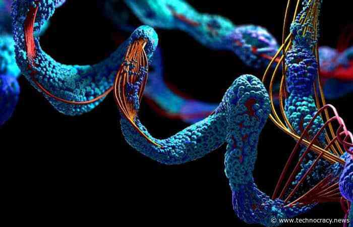 ‘Digital Biology’: Biology Viewed As An Information Processing System