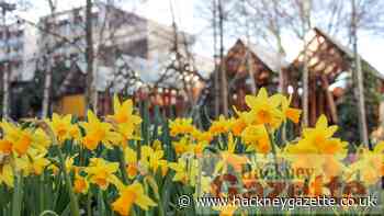 Plans for new community gardens in Hackney - Hackney Gazette