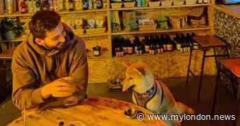 Hackney Wick bar nominated for dog-friendly business award - MyLondon