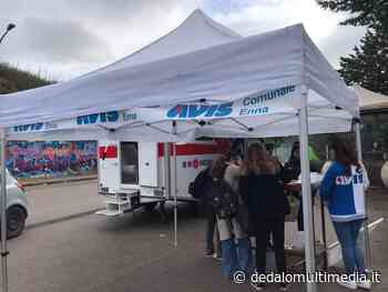 Enna – Avis: in 50 stanno per diventare donatori di sangue - dedalomultimedia.it