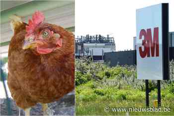 Vervuilde PFOS-eitjes mogen nu ook naar het containerpark gebracht worden: “Niet logisch dat mensen zélf moesten betalen om vervuilde eitjes bij afval te gooien”