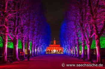 Christmas Garden in Dresden: "Wir sind kein Weihnachtsmarkt" - Sächsische.de