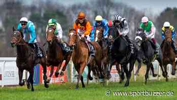 Saison-Finale in Dresden-Seidnitz: Außenseiter Mansour holt sich den Herbstpreis - Sportbuzzer