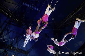 Dresden: Von L.A. zum Weihnachts-Circus - Trapeztruppe "Tabares" zeigt Flug-Schau in 18 Meter Höhe! - TAG24