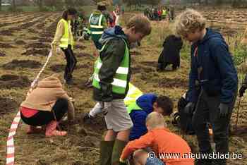 Eerste bomen van nieuw bos in Molenbeekvallei steken in de grond