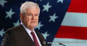 Watch: Newt Gingrich Unleashes on 'Dictator' Nancy Pelosi