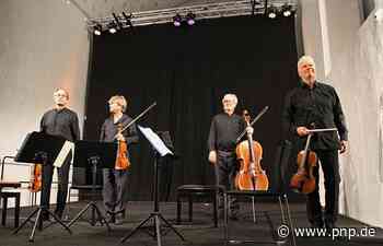 Auryn Quartett nimmt Abschied in Traunstein - Traunstein - Passauer Neue Presse