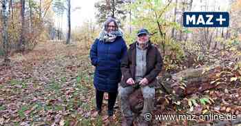 Für den guten Zweck am Lebensende: Bestattungen im Wald bei Bad Belzig - Märkische Allgemeine Zeitung