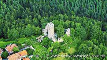 Forst Bad Teinach-Zavelstein: Im nächsten Jahr eine freie Sicht auf die Burg?