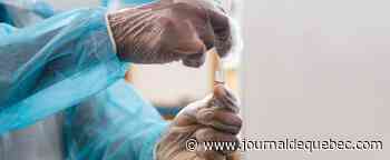 Séjours à l’étranger de 72 h ou moins: Ottawa mettra fin aux tests PCR le 30 novembre