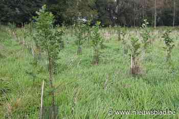 Natuurpunt houdt plantweekend