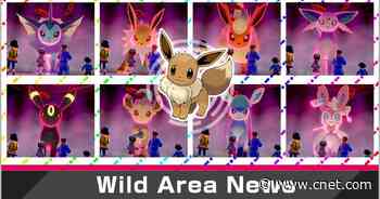 Pokemon Sword and Shield players can catch Shiny Eevee this weekend     - CNET