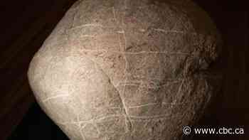 4 petroglyphs from 'pre-contact' Prairie history unearthed by bison living on ancestral land