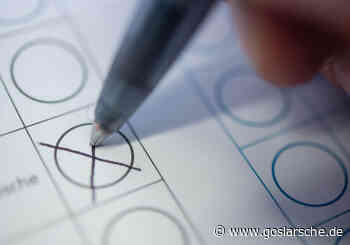 Kommentar von Oliver Stade: Schlecht vertreten - Region - Goslarsche Zeitung - Goslarsche Zeitung