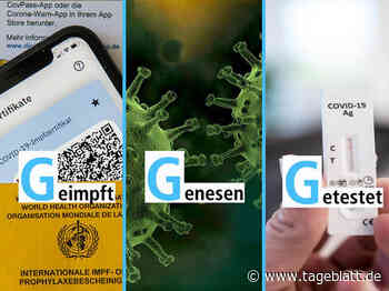 Jetzt gilt die 3-G-Regel im Kreis Stade - TAGEBLATT: Nachrichten aus Stade, Buxtehude und der Region - Stader Tageblatt - Tageblatt-online