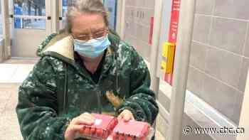 Pop-up produce markets a fresh way to combat food insecurity in Calgary as prices edge up