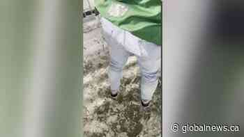 Rider fan facing mischief charge after running Mosaic field during game