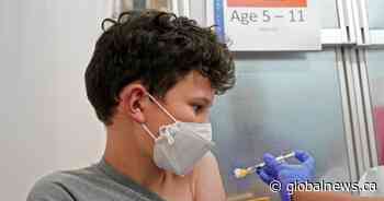 Healthcare professionals weigh in on Pfizer COVID-19 vaccine for kids 5-11