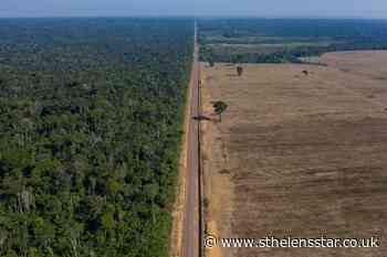 Brazil's Amazon deforestation surges to worst in 15 years - St Helens Star