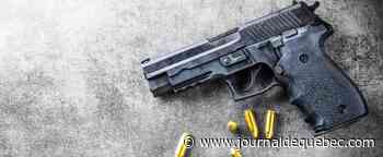 Armes de poing: l’UMQ demande à Ottawa d’agir maintenant