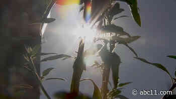 Life Do Grow farm grows community connection with food, education