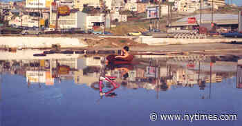 Bonnie Sherk, Landscape Artist Full of Surprises, Dies at 76