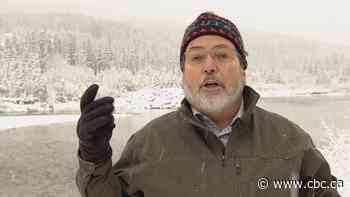 Historically low water level on Bow River concerning, water scientist says