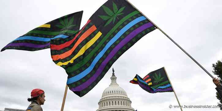 Elizabeth Warren is blunt: Biden can make the joint decision to cancel student debt and legalize marijuana with a 'signature on two different pieces of paper'