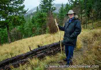 Walk softly, carry a big stick, notepad and pen - Kamloops This Week
