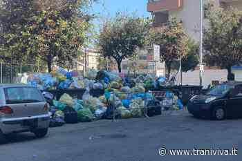 Amiu, addio alle isole ecologiche mobili di piazza Plebiscito e via Gisotti - TraniViva