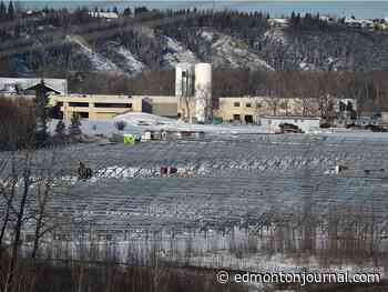 Battle over council-approved solar farm in Edmonton river valley heads to the courtroom through judicial review