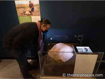 'The gift:' Wanuskewin announces discovery of petroglyphs