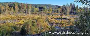 Von gutem Management weit entfernt - Titisee-Neustadt - Badische Zeitung