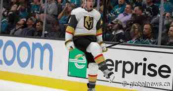 Hard-hitting McNabb quietly does his job for Golden Knights