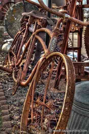 Capua: Prove di coalizione. Tutto in alto mare nel centro sinistra. Le voci su Di Monaco, Frattasi e Di Cicco tra i papabili a sindaco. Verso il “no” alle candidature di Marisa Giacobone e Rosaria Nocerino - Capuaonline.com