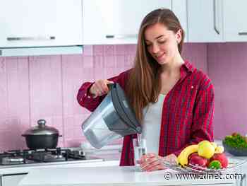 Best water filter pitcher 2021: We filtered out the worst