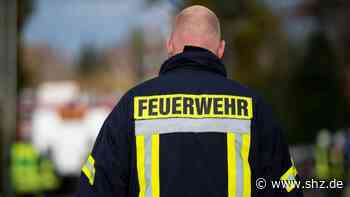 Tierischer Einsatz: In Graben gerutscht: Feuerwehr Tornesch befreit Pferd aus Notlage | shz.de - shz.de