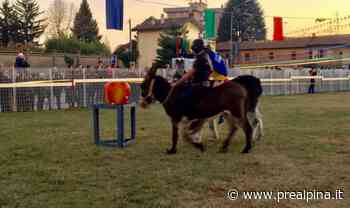 Gallarate, animalisti contro la corsa con gli asini - La Prealpina