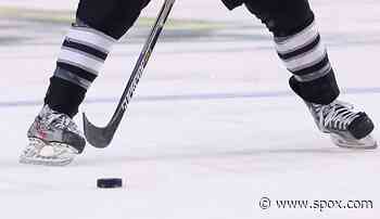 DEL: Wolfsburg bleibt an Mannheim und München dran - SPOX.com