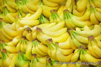As costs rise, PHL exporters eye Japan banana price hike | Jasper Y. Arcalas - Business Mirror