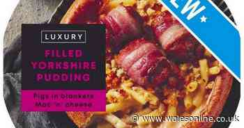 The weirdest Christmas food offerings from M&S, Iceland, Aldi, and others - WalesOnline