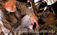 FAO plan aims to counter antibiotic resistance in food, ag sectors - CIDRAP