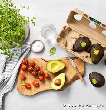Avocado Cartons and Pet Food SIOC Among New Formats for E-Comm Packaging - Packaging World