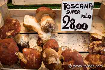 How To Match Tuscan Food With Tuscan Wines: An Interview With Winemaker Giovanni Mazzei - Forbes