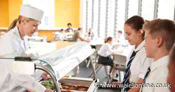 Children refused food as parents rack up more than £176,900 in school meal debts across Wales - WalesOnline