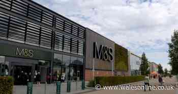 M&S 'most popular supermarket for Christmas food 2021' according to Google - Wales Online