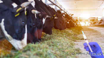 Food imports treated with banned antibiotics, study finds - FarmersWeekly