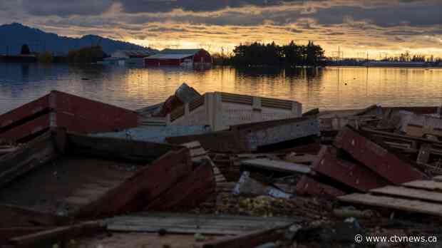 Cost of damage from B.C. flooding could be 'catastrophic,' expert says