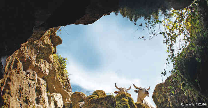 Filmfestival Mannheim-Heidelberg:  "Il buco" erhielt den Hauptpreis des Festivals