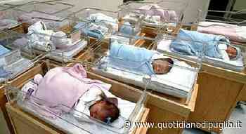 Bari, il virus sinciziale preoccupa: reparti di pediatria in affanno - Quotidiano di Puglia